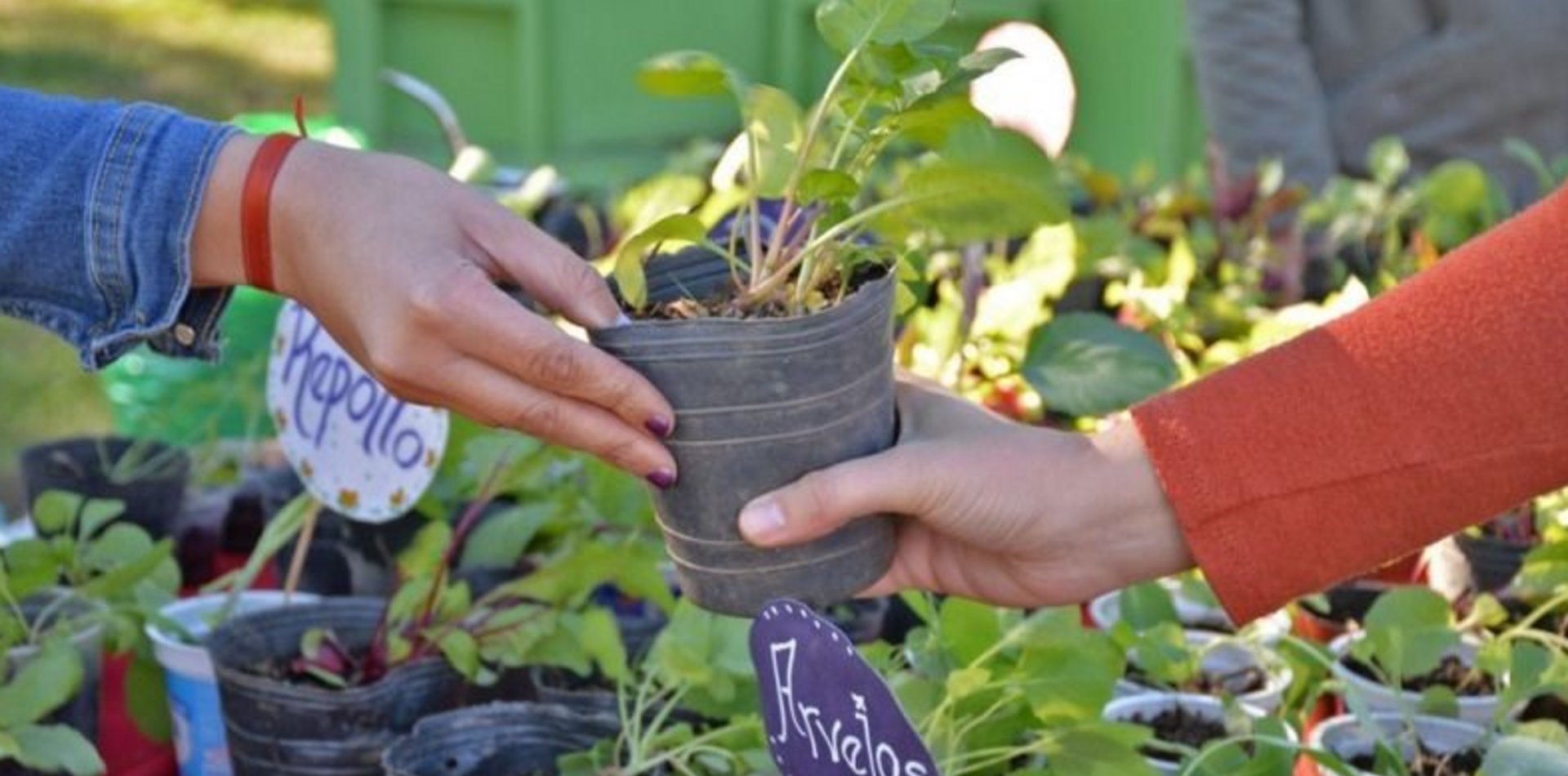 LA PLATA: REALIZAN UNA NUEVA JORNADA DE ECO-CANJE