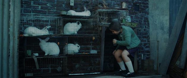 MORA IRAMAÍN GARCÍA HABLÓ DE SU PAPEL EN “LA CASA DE LOS CONEJOS”