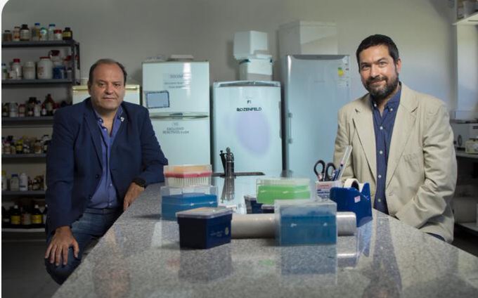 LA VACUNA ARGENTINA CONTRA EL COVID ESTÁ EN FASE PRECLÍNICA