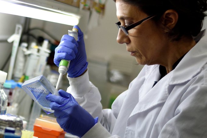 DANIELA HOZBOR: “LA MUERTE NO ACOMPAÑA EL GRAN INCREMENTO DE CASOS”