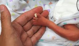 ADVIERTEN QUE EL PROGRAMA 1000 DIAS FUE “DESMANTELADO”