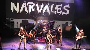 TRAS VARIOS AÑOS SIN TOCAR, LOS NARVALES SE PRESENTAN EN GUAJIRA