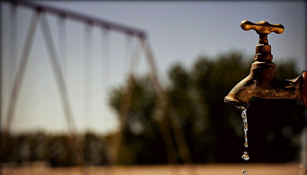 LA PLATA: VECINOS ENFRENTAN SIN AGUA POTABLE LAS ALTAS TEMPERATURAS