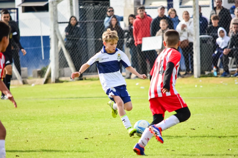 CARLOS  BOTTEGAL: “TANTO GIMNASIA COMO ESTUDIANTES SIGUEN TENIENDO BUENOS CAPTADORES DE TALENTOS”