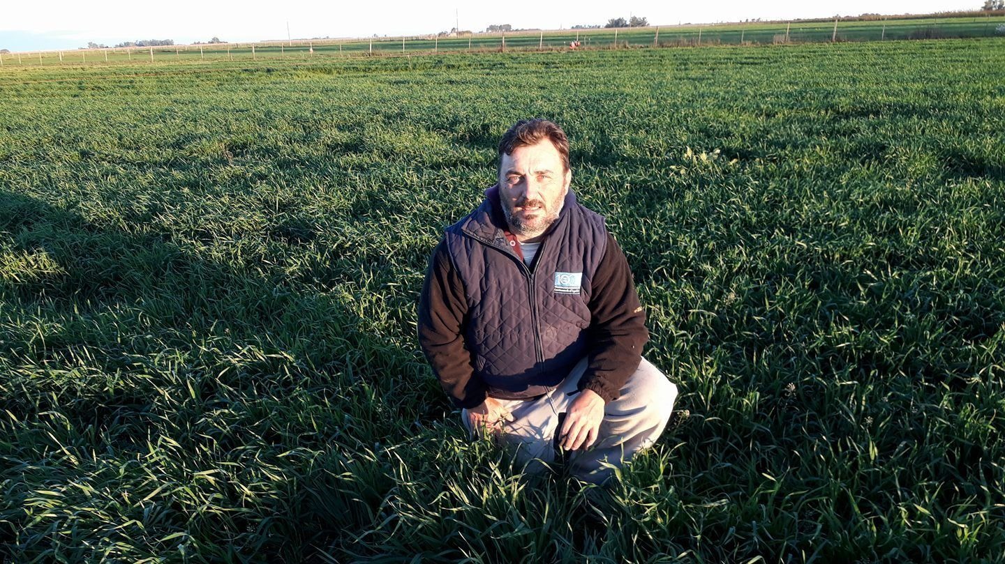 CARLOS BARAVALLE: “SI A MILEI LE VA BIEN, AL CAMPO LE VA MAL”