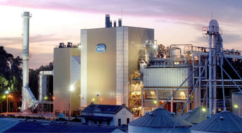 LA PROVINCIA DE BUENOS AIRES TENDRÁ SU PRIMERA PLANTA PROCESADORA DE MANÍ