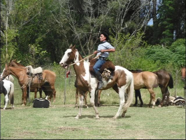 COMENZÓ UNA NUEVA  EDICIÓN DE LA EXPO CHASCOMÚS 2024