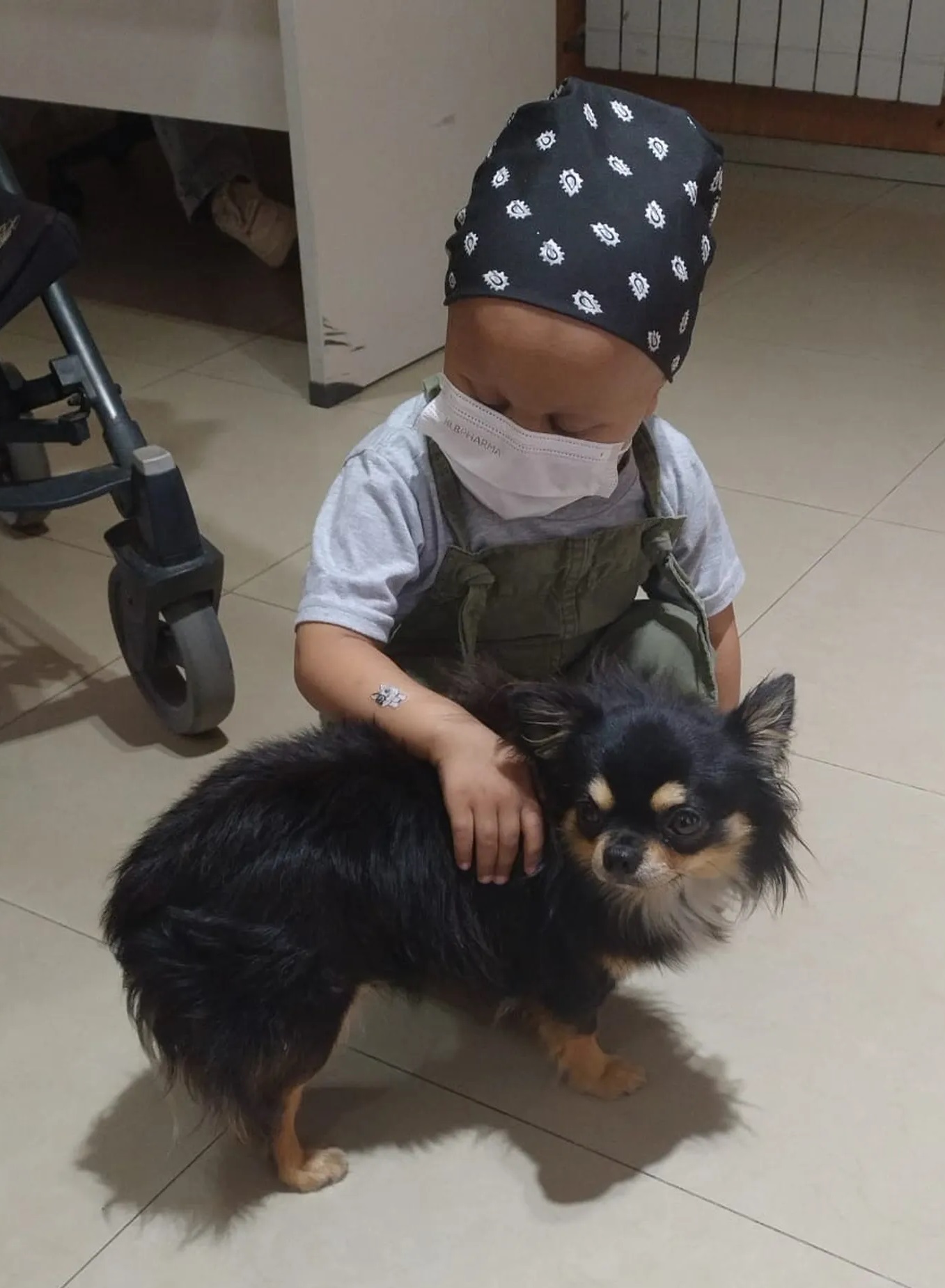 PERROS CON ENTRENAMIENTO ESPECIAL SERÁN ASISTENTES TERAPÉUTICOS PARA NIÑAS Y NIÑOS