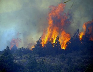 DESTACADA LABOR DE LOS BRIGADISTAS EN LOS INCENDIOS DE CHUBUT