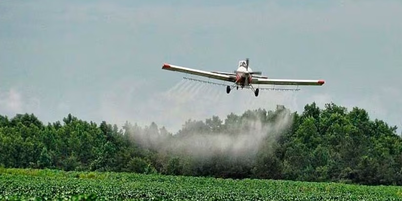 AFIRMAN QUE LA “CAUSA CAYÓ EN UN JUEZ QUE QUISO INVESTIGAR”