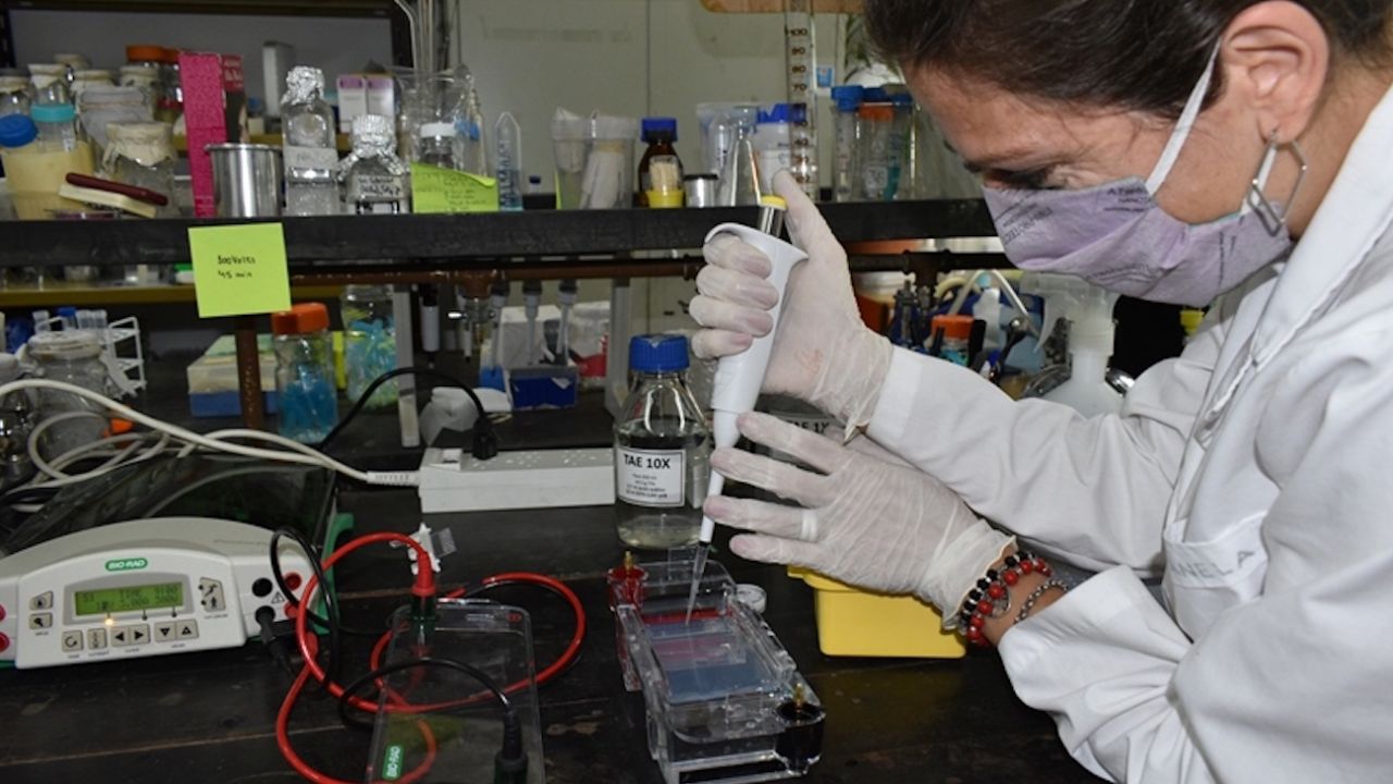 LA VACUNA QUE DESARROLLA EL INTA TIENE “RESULTADOS PRELIMINARES MUY BUENOS”