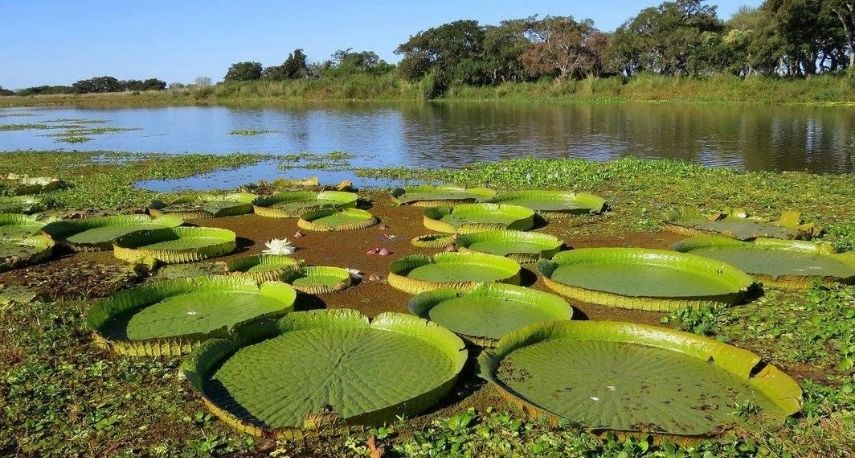 “LA LEY DE HUMEDALES NOS VA A PERMITIR ORDENAR EL TERRITORIO”